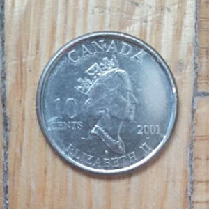 󏭂ȃJi_ǂ̌ɂZkꂽ P 10 Zgd 2001 NLO_C