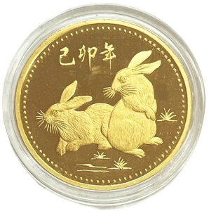 vCx[gs VK|[ 1/2IX 0.999h ǎ C[EIuErbg v[t_