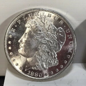 1880�N�� ���ǂ����t ���ǂ��O���[�h BU �����K����� �f���炵���O�� �������� A