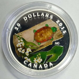 Ji_ 2015 20h xl`AOX ^[g Lt   1IX Vo[