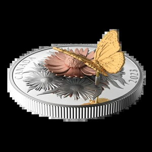 Ji_ 2023 $50 i[NEAhEUEu[ 5IX Vo[RC -