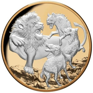 5�I���X �j�E�G �V���o�[�R�C�� �g�b�v�v���f�^�[�Y - ���C�I�����n�C�G�i 2022 - ���������b�L �v���[�t -