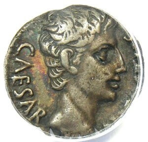 �A�E�O�X�g�D�X AR �f�i���E�X��� �I�N�^���B�A�� 19 �I���O - ANACS XF40 (EF) �F��