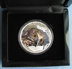 2018Nco 1h Ŋ뜜킨ѐł̃IIJ~tNE 1IX .9999 Vo[ p[X~g