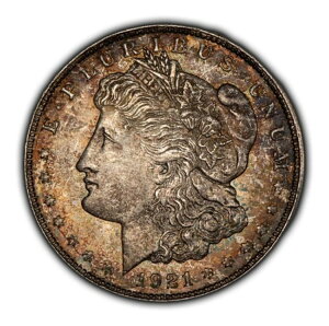 1921-D 1hKE_[ - dグ - JtȃC{[p^[ - SKU-D4586