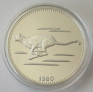 ԓMjA 2000 GNG 1980 ChCt `[^[ Vo[