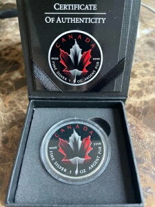 󏭂2017NJi_[v[t1IX݁BubN/bh/zCgGfBVB#72/100