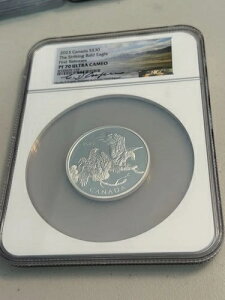 2023NJi_S $30 XgCLOEnNgEV t@[Xg[X PF70 EgJI TC