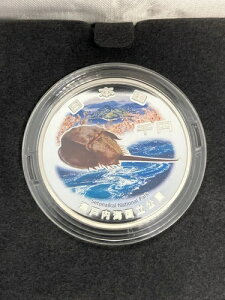 sCJj100NLO 1000~ 2024N