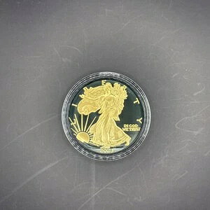 2023N Vo[C[O ubNv`i 24bL 1IX .999 Vo[RC /500