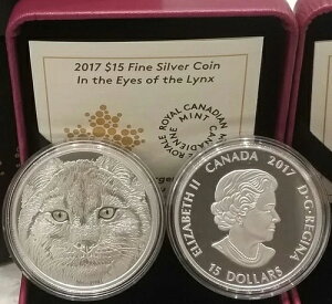 2017�N Eyes Great LYNX 15�h������v���[�t�R�C�� �J�i�_ �~��