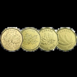 ???? 󏭃Ji_ 1 h[j[Ae탁[v[t 1 hd݁A~g UNCA2017-2020