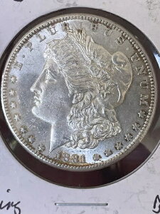 1881-S �č������K����݁AMS/BU+++ ���F�� - �����ӂ��