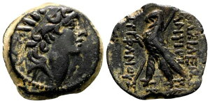 *AET* �A���e�B�I�R�X VIII �O���|�X AE18�B EF-�B�A���e�B�I�L�A�~���g�B�I���O111�`110�N�B