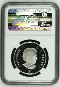 Ji_ - Ɋ󏭂 NGC O[h̃h}GITEX̉  4 hA2010 N