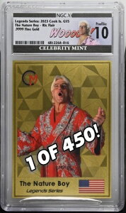 WWE ���b�N�E�t���A�[ (450����1��) �O���[�h�t���S�[���h�z�C���R�C���J�[�h 0.5g NGCx 10 2023 �N�b�N