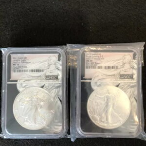 2021 �V���o�[ �C�[�O�� T1 �w�����f�B�b�N �t�@�C�i�� 400 �{�b�N�X T2 �t�@�[�X�g 400 �{�b�N�X NGC MS70 �V�Z�b�g!