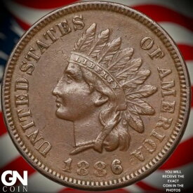 1886年 タイプ1 インディアンヘッド セントペニー A8509