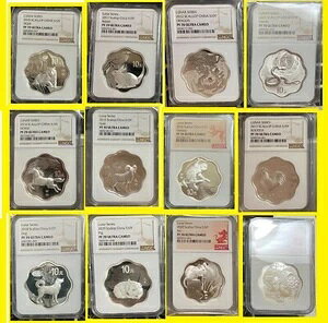 2010-2021  z^eL  12IX  12Zbg NGC PF 70 COAt