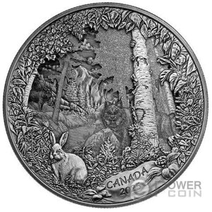 �ߐH�҂��l���� �e�̔������� 175�h�� �J�i�_ 2025�N