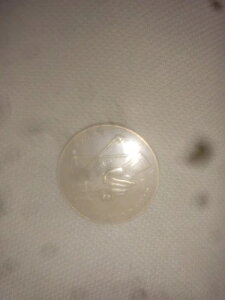 1817 - WF[Y [ - CfBAa_ - NGC MS63 BN - NGC ɂO[fBOꂽB̂!