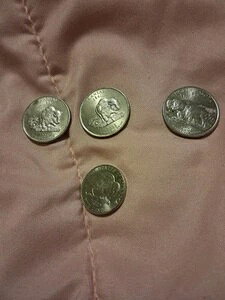 1861�N���o�b�t�@���[�N�H�[�^�[2�� D&P�A1889�N���o�b�t�@���[�N�H�[�^�[1�� D�A2005�N���o�b�t�@���[�j�b�P��1�� E