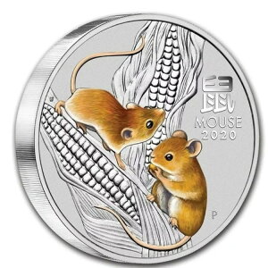 2020N I[XgA 30h IIIN qN 1LO  BU