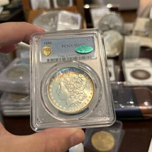 1886N 1h KE_[ PCGS MS67 (CAC) f炵u[g[jO PQ \ʁI