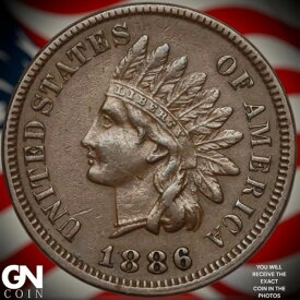 1886年 タイプ1 インディアンヘッド セントペニー A9091