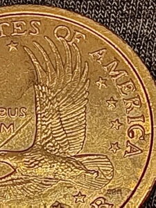 ʂSacagewea 2000 PX^v̌