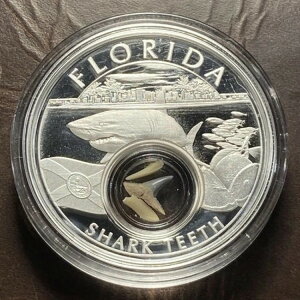 2021N AJ̕ t_̃T̎ .999 Vo[ lCeBuAJ #77