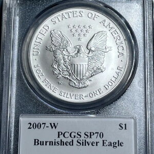 2007N W Vo[ C[O o[jbV SP70 PCGS  MOY #295