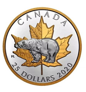 Ji_ 25h݁AVN}AsGtH[g - ^CXA2020NRCAȂ