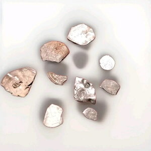 30�N�Ԃ̃R���N�V��������̃o�C�L���O�`���b�v�h�V���o�[+XRF���� -