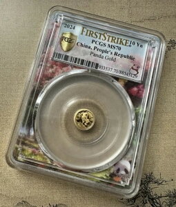 PCGS MS70 2024 S[hp_ 1g Au.999  t@[XgXgCN