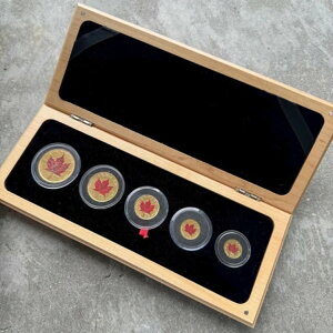 1999N 20NLO Ji_ 1.9IX ݏ_Zbg - J[Zbg