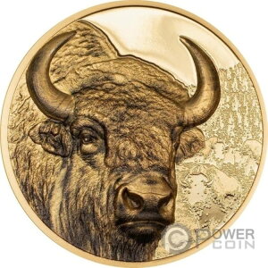 oC\ ChS 1IX  25000 gOO S 2025-