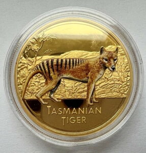 jEG 2011N 100h ^X}jA^CK[ 1IX  v[t