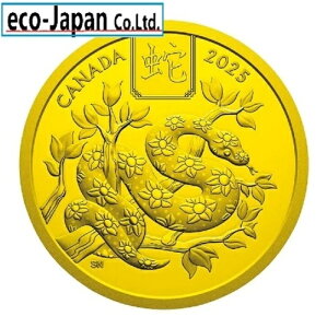 Ji_ 2025N N 100h v[t