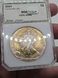 2001 PCI AJ Vo[ C[O $1 Jt uYAC g[  ̃RNV`FbN
