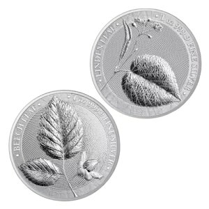 {̐_̐X - ui̗tƃf̗t̋݃Zbg 2 x 1IX