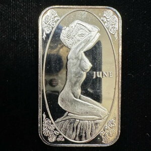 NE~gEr[eB[Y 6 .999  1IX Vo[o[ (L2631)