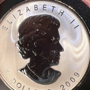 2009NJi_ .9999 1IX Vo[ [v[t ufuN vCx[g o[X v[t