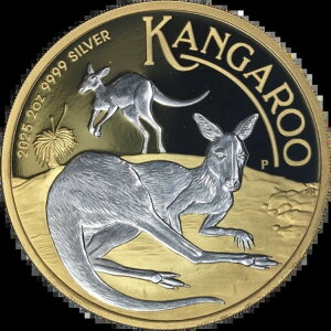 2025N I[XgA 2IX  2h JK[ ʋbL OGP COA - ݌ɂ