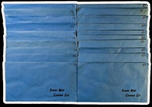 1979年、1980年 D 米国デンバー造幣局 記念品セット(封筒付き)20個セット(年間10個)