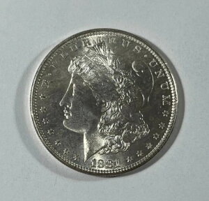 1881-S �����K���E�_���[ (#20560) �j�A�W�F�� �኱�̍��_����B���܂肠��