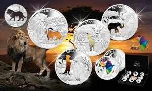 �A�t���J�̌` - �J�b�g�A�E�g 8 �V���o�[ �R�C�� �R���N�V���� �W�u�` 250 Fr 2019�B