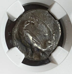 �M���V����BRUTTIUM�A�N���g���B�I���O425�`350�N���B AR �m���X (21.5mm�A7.65 g) NGC VF