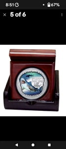 I[XgÅ댯ȃ^CK[V[N 2023 1IX Vo[ v[t J[RC