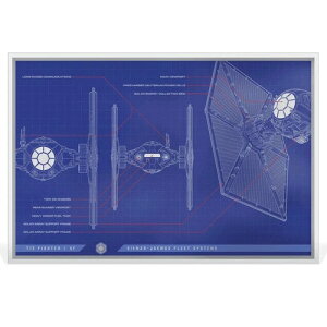 2025N jEG X^[EH[Y u[vg ^Ct@C^[ 1IX Vo[ J[zC